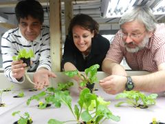 freshwater imta - hatchery international