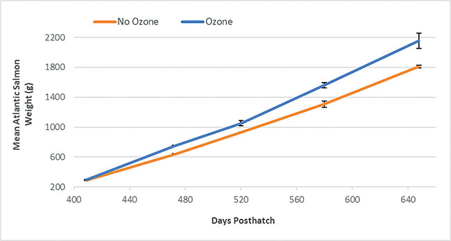 Fig.2-Davidson-Ozone