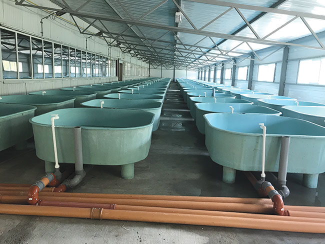 The-Kazakh-government-promise-to-help-investors-launhcing-new-projects