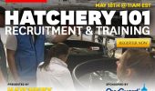 Hatchery 101: Recruitment & Training