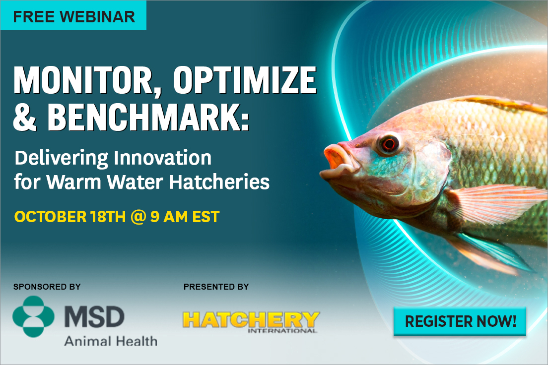 Monitor, optimize & benchmark: Delivering innovation for warm water  hatcheries - Hatchery International