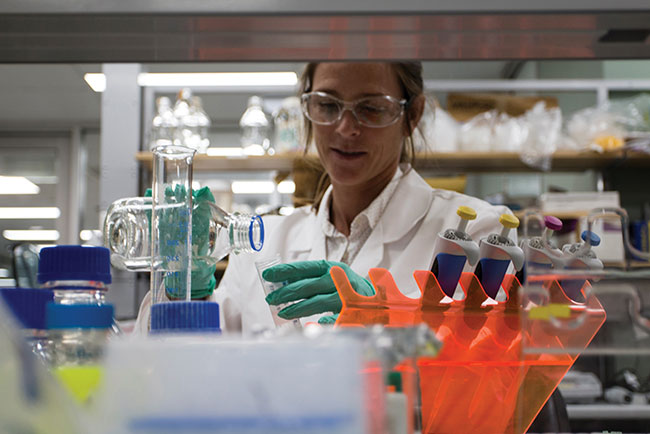 Genics launches Shrimp MultiPath2.0 for early pathogen detection
